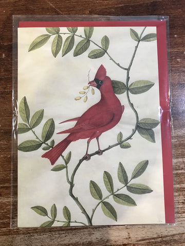 J&M Martinez Holiday Card-Happy Cardinal
