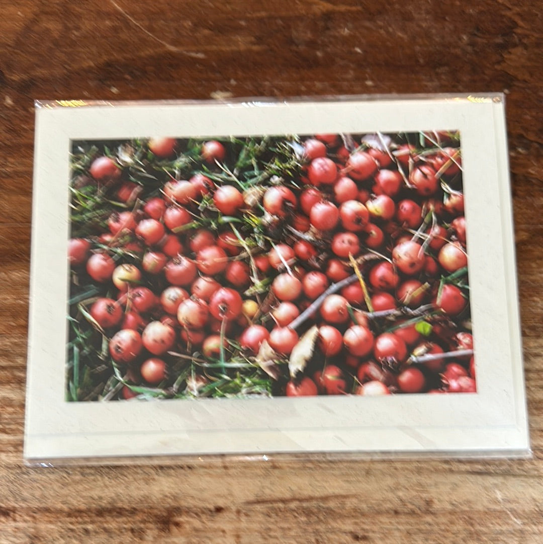 The Fibre Workshop Blank Card-Crabapple