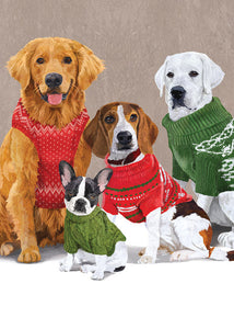 Allport Editions Dogs In Sweaters Holiday Card