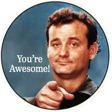 Ephemera Button-You're Awesome