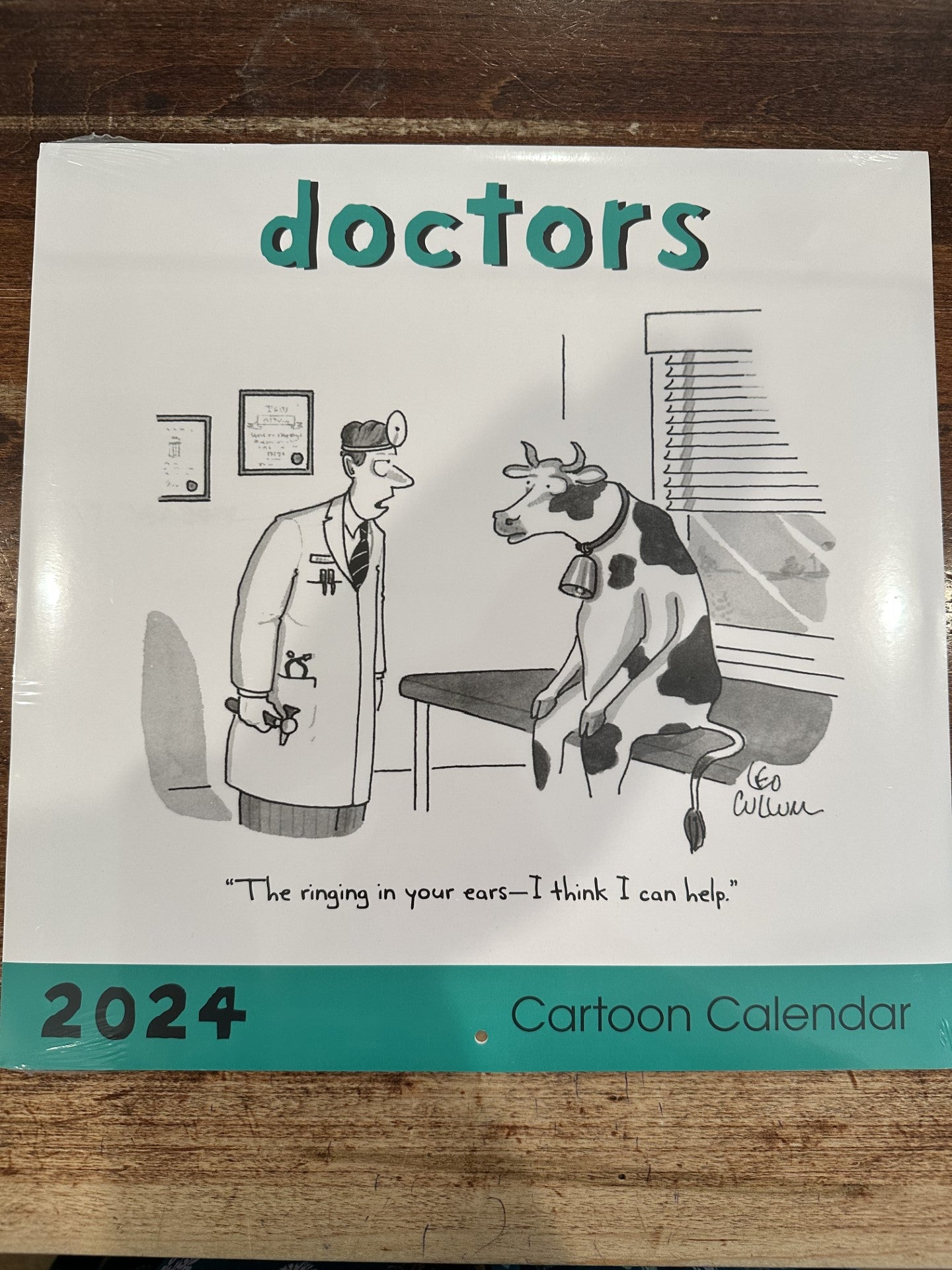 The New Yorker Doctors 2024 Wall Calendar