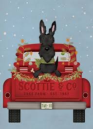 Calypso Holiday Card-Scottie in Truck