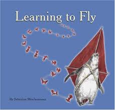 Raincoast Books Children's Book-Learning to Fly
