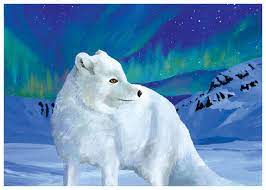 Allport Editions Holiday Card-Arctic Fox
