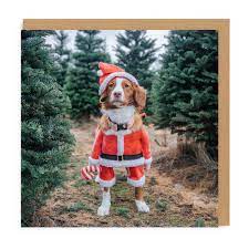 Ohh Deer Christmas Card-Maple Santa