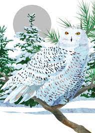 Allport Editions Holiday Card-Snowy White Owl
