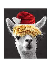 Portfolio Ltd. Christmas Card-Llama