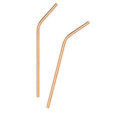 Onyx Stainless Steel Straw-Short