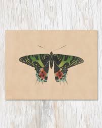 Cognitive Surplus Blank Card-Vintage Butterfly