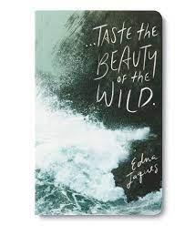 Compendium Write Now Journal-Taste The Beauty of the Wild