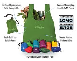 ChicoBag Reuseable Shopping Bag