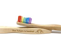 The Future is Bamboo Rainbow Toothbrush