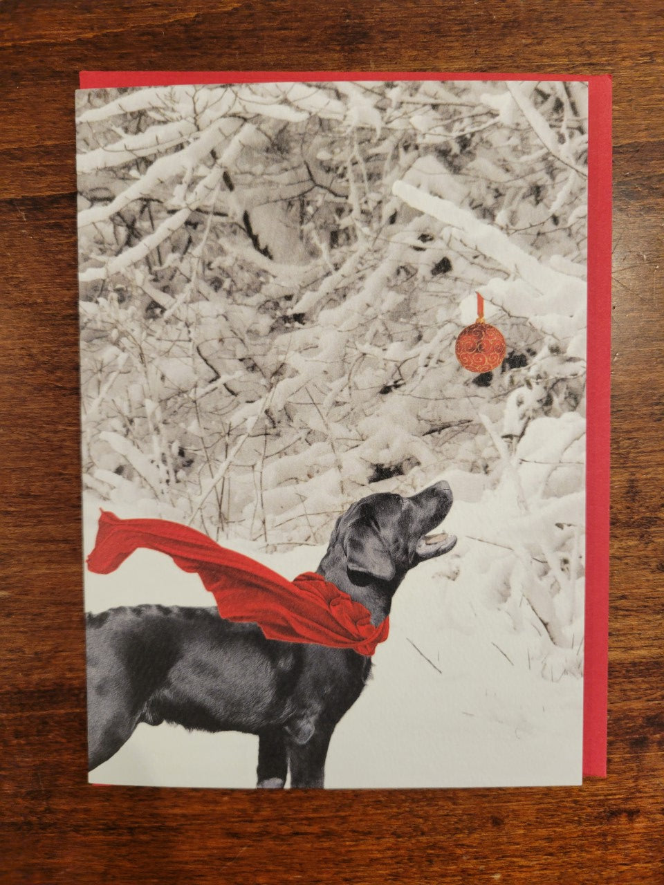 Calypso Holiday Card-Festive Fido