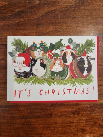 Calypso Christmas Card-Guinea Pigs In Sweaters