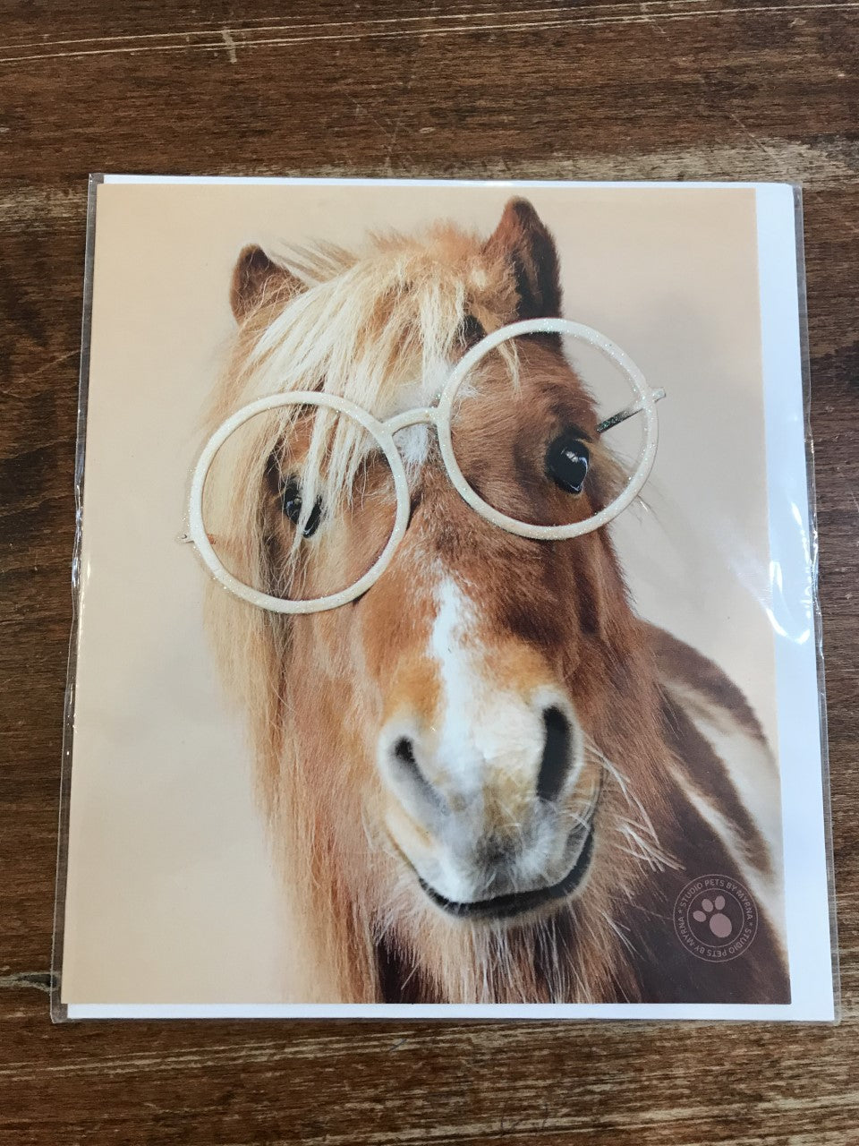 Portfolio Blank Card-Horse Glasses