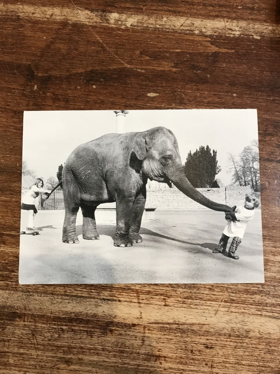 Retrospect Card-Child with Elephant