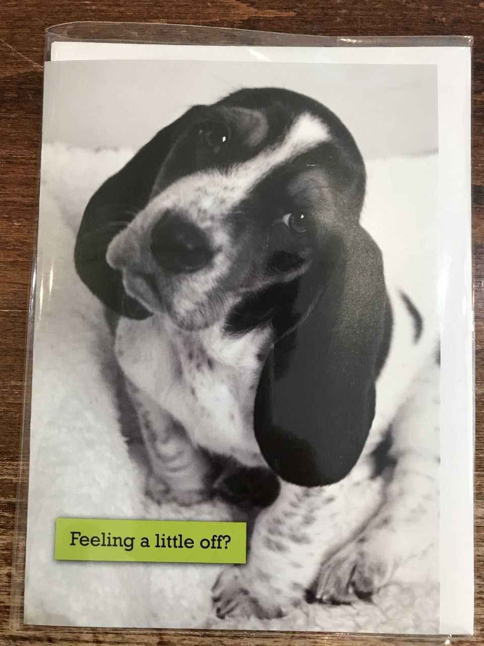 Calypso Get Well Card-A Little Off