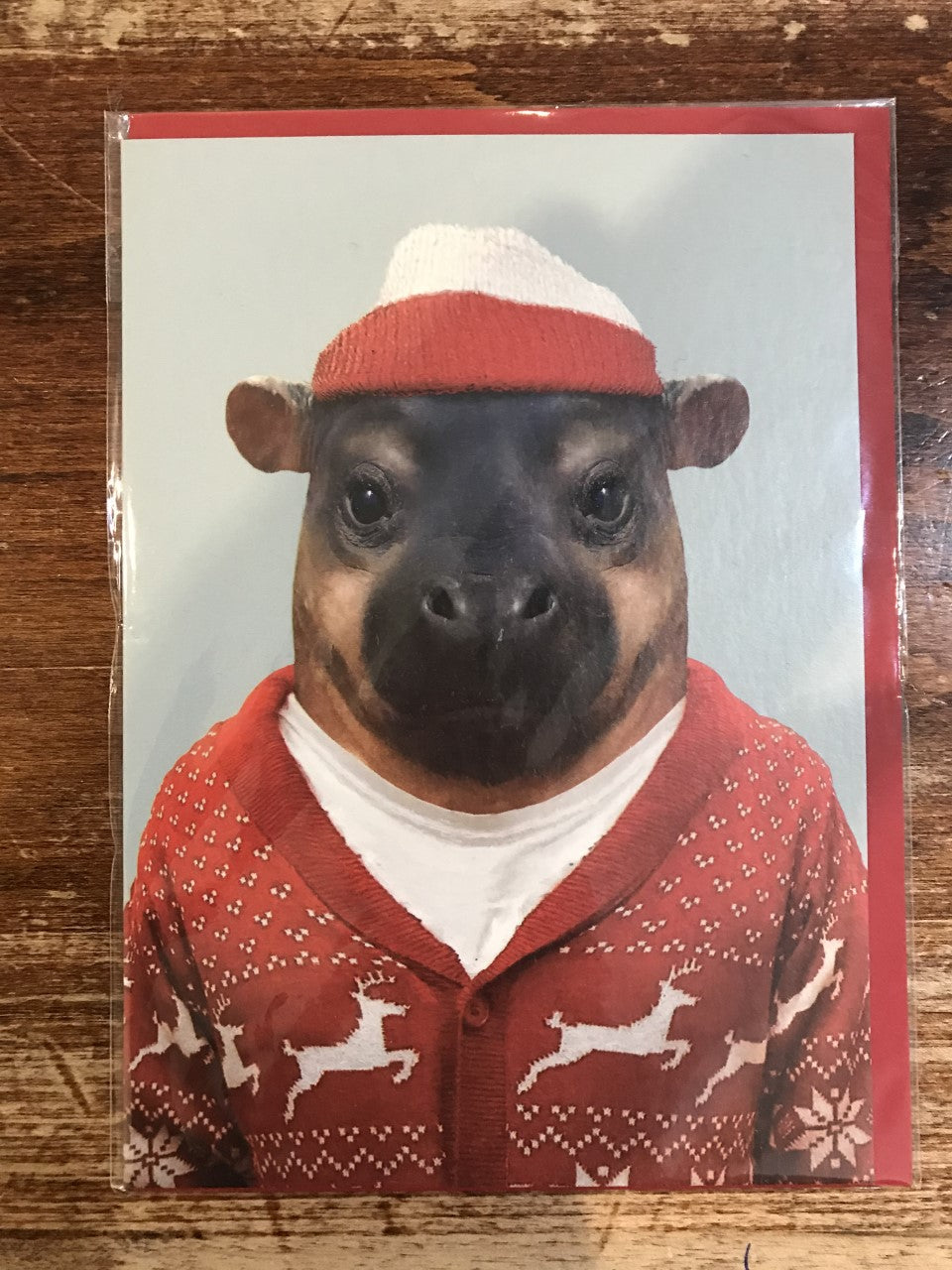 Lagom Design Christmas Card-Pygmy Hippopotamus