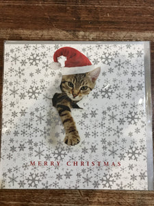 Portfolio Ltd. Christmas Card-Christmas Cat Surprise