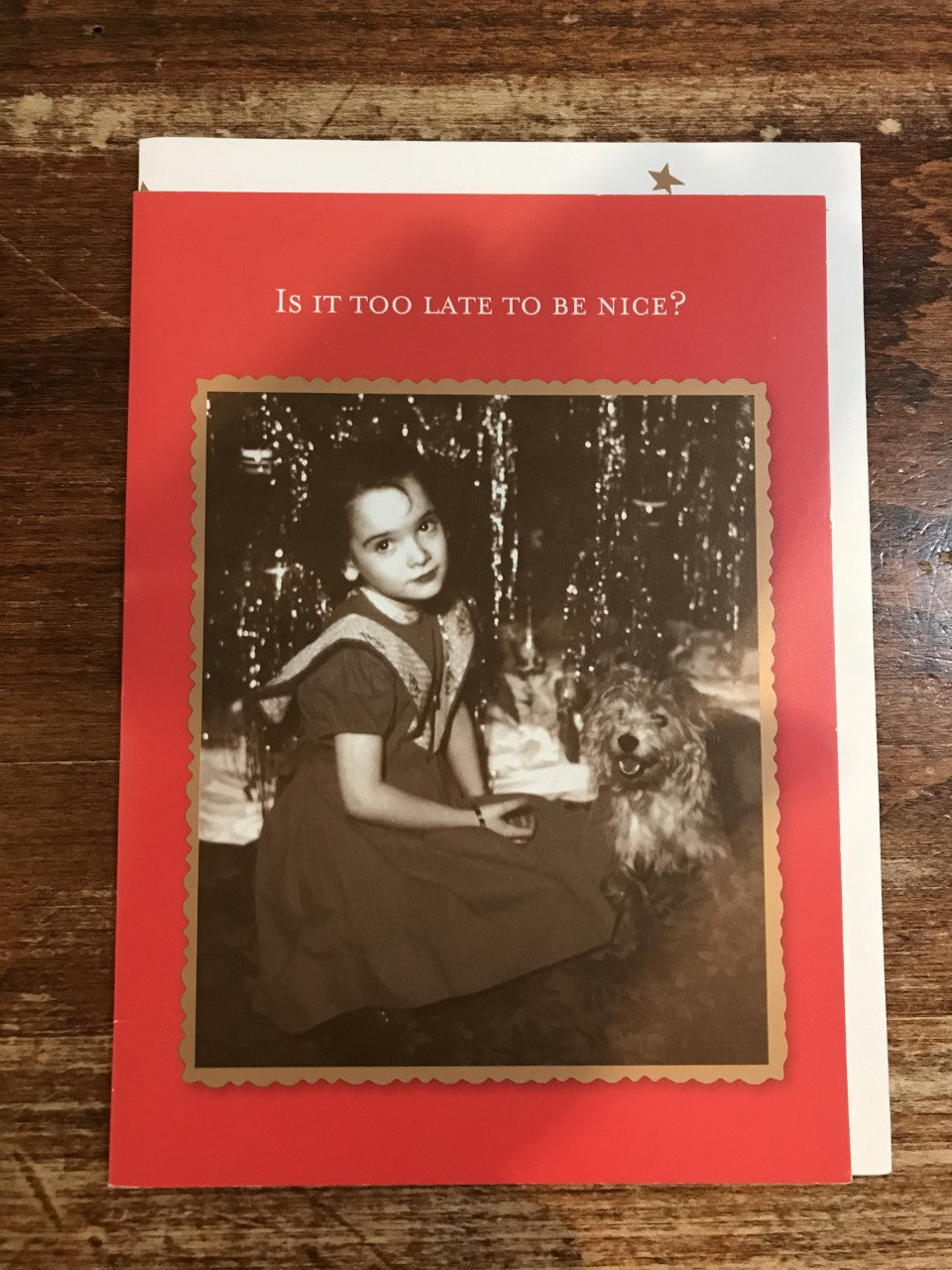Shannon Martin Christmas Card-Too Late to Be Nice