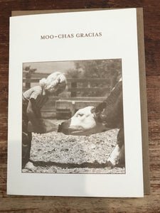 Shannon Martin Thank You Card-Moo-chas Gracias