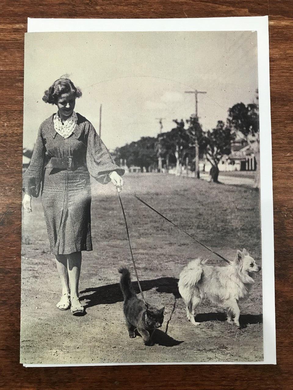 Retrospect Group Birthday Card-Walking The Dog